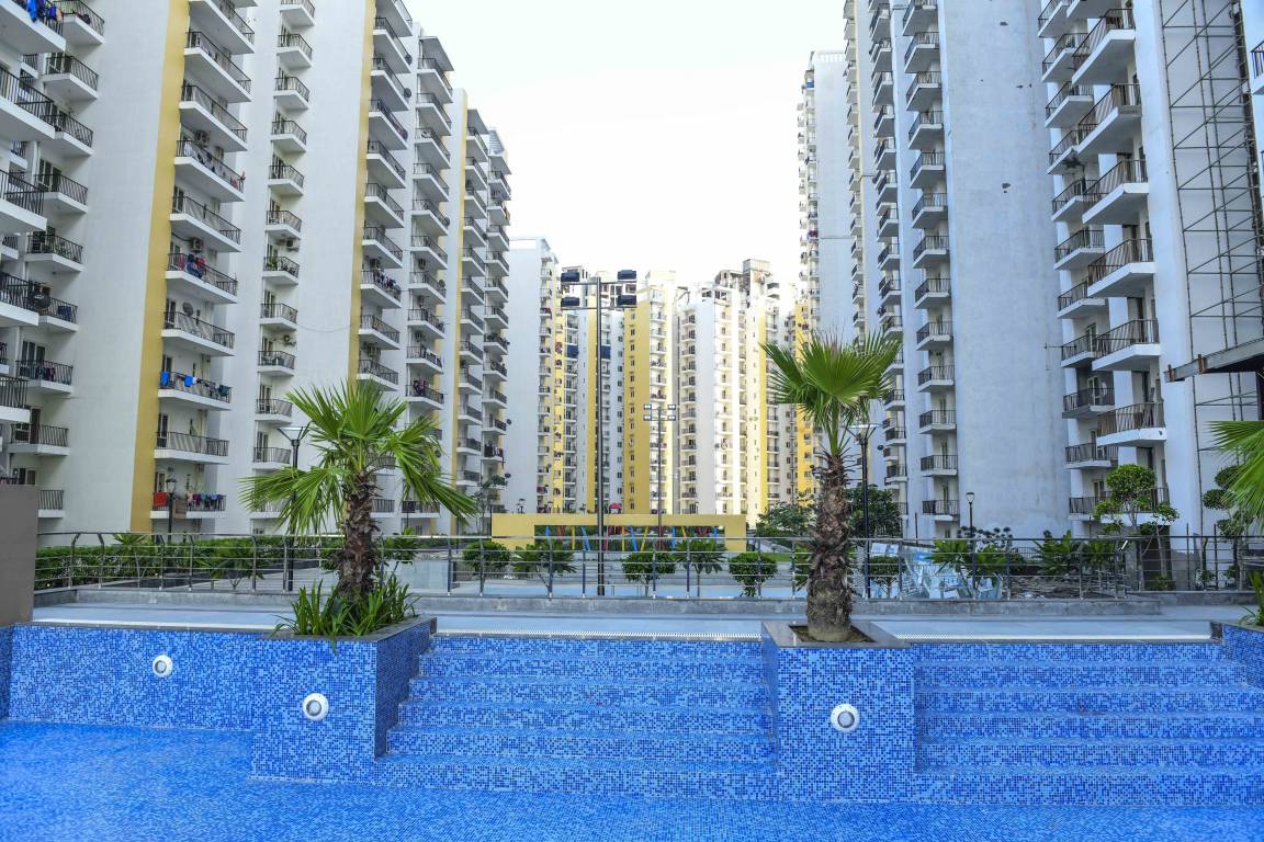 3 BHK Residential Apartment for Rent in Panchsheel Hynish
