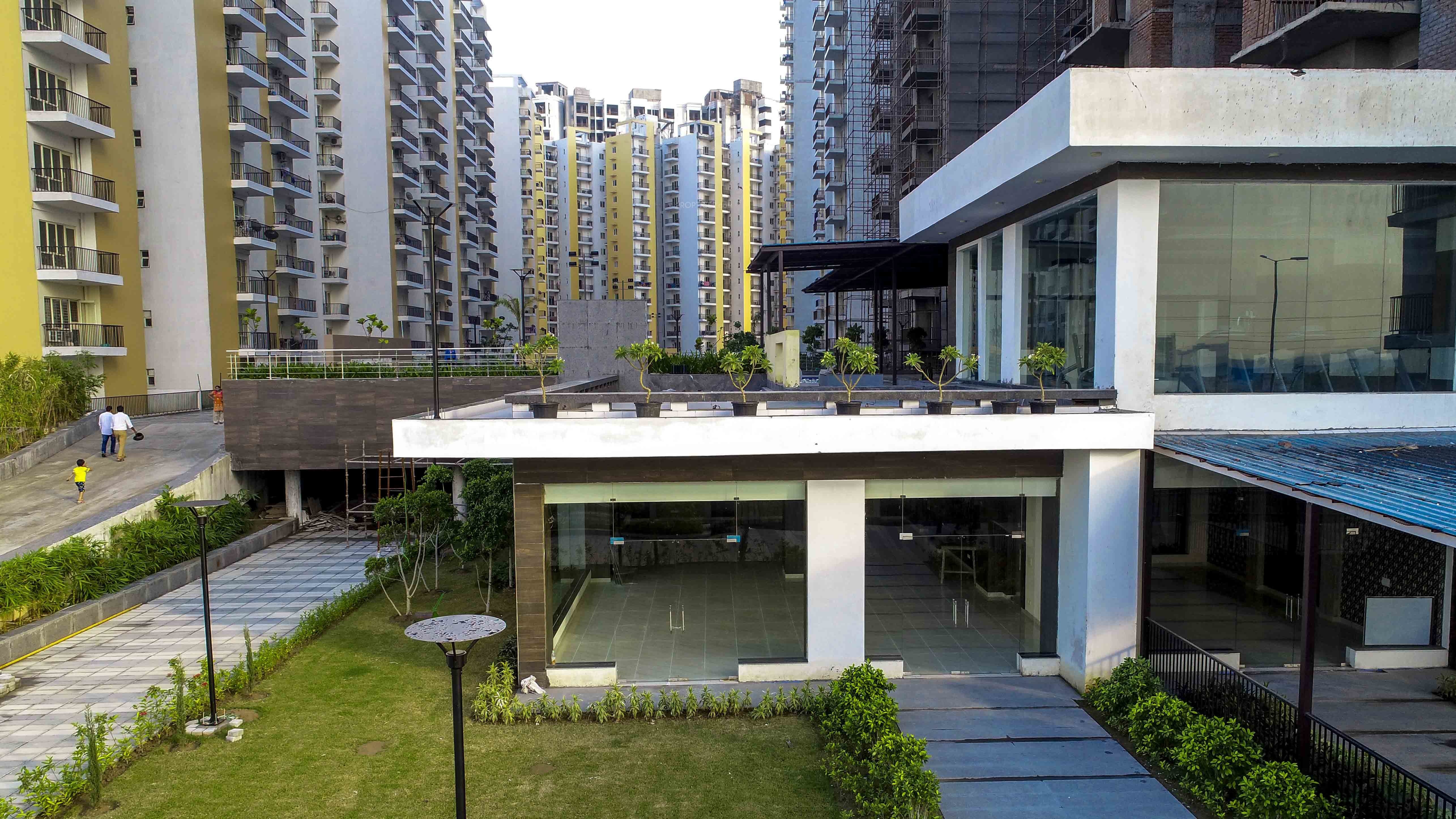 3 BHK Residential Apartment for Rent in Panchsheel Hynish