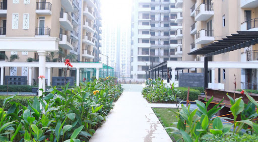 3 bhk Apartment available for sale in  Royal Court